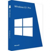 Windows 8.1 Professional ESD OEM PL 